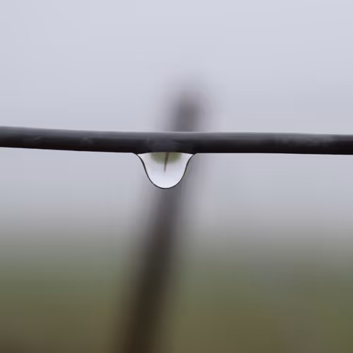 Drop in Fog