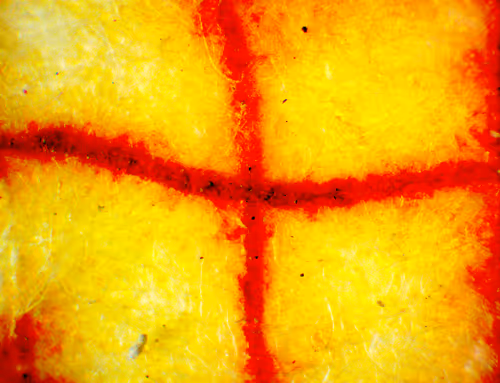 Item #71646257518770613568983710813551014237803002136866425209291834306669540540417 Media