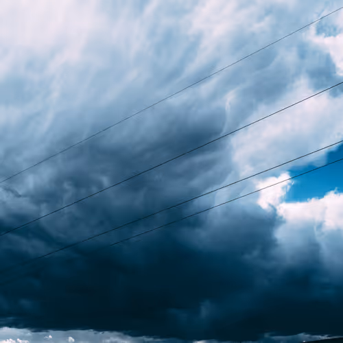 foja Collection - old