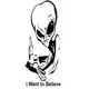 Untitled Collection #79603904