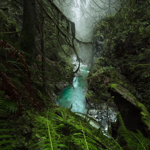 Tristan Todd Editions