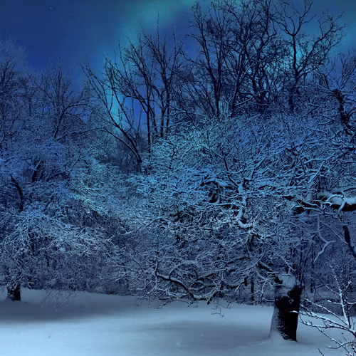Crypto Winter
