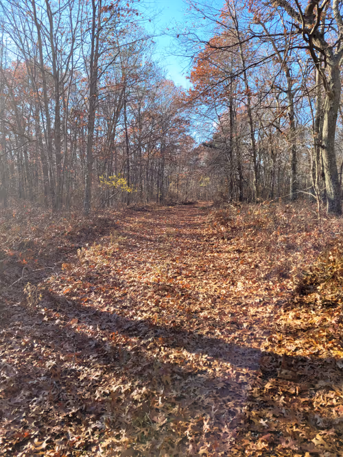 Item #34085441569699423005310991372941828806155687762378495952169943221965080756225 Media