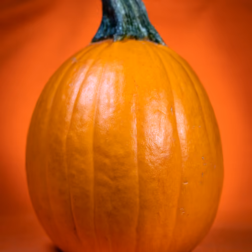 Pumkin 1