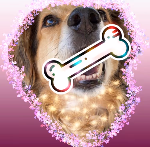 Item #86170359158528537490808954258148614623320586043260337698798545689896745435137 Media