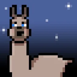 Lil Llama #029