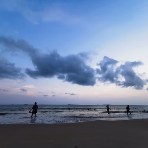 celodaddy Collection