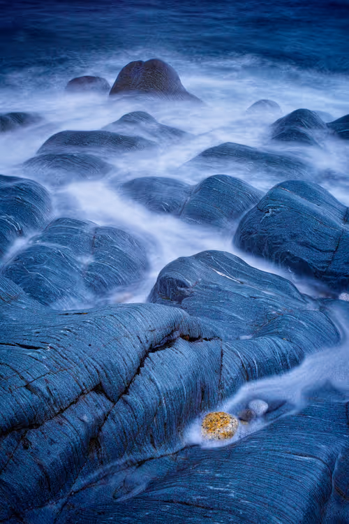 Item #33905874090819082513688943538230910820806372635716531311002980168456703311873 Media