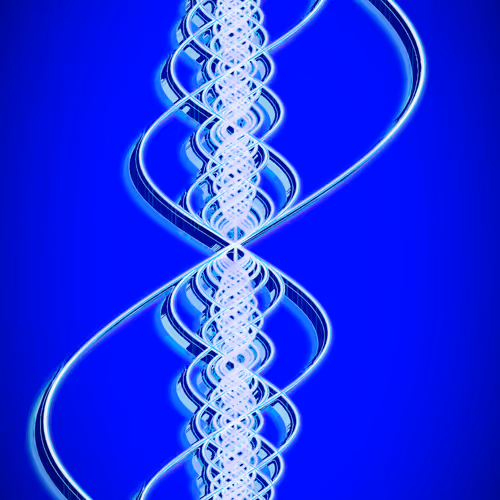 Harmonic Vibes