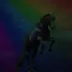 48694790959661752041187448995012716877960144470069618886337300000018740019201