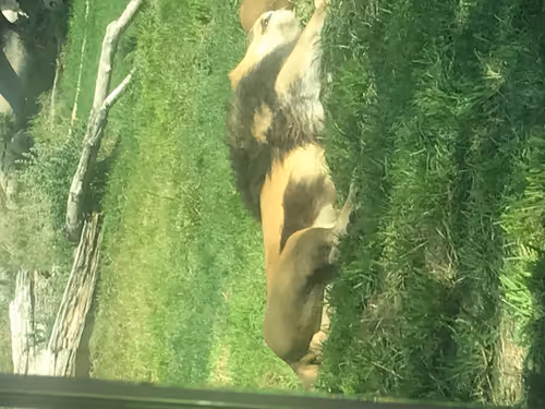 Item #57418325525415838684456060443603189040919393289816300753644441767496929771521 Media