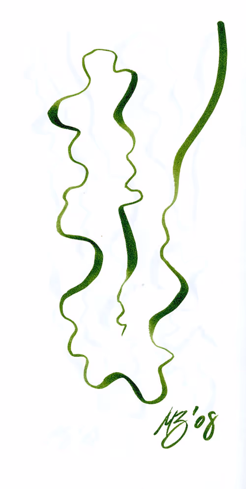 Item #25372994447545615556595153878681400140350305593099141563031706174805447278593 Media