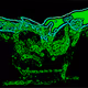 Worm Brains