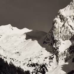 Yaute Alpes #10