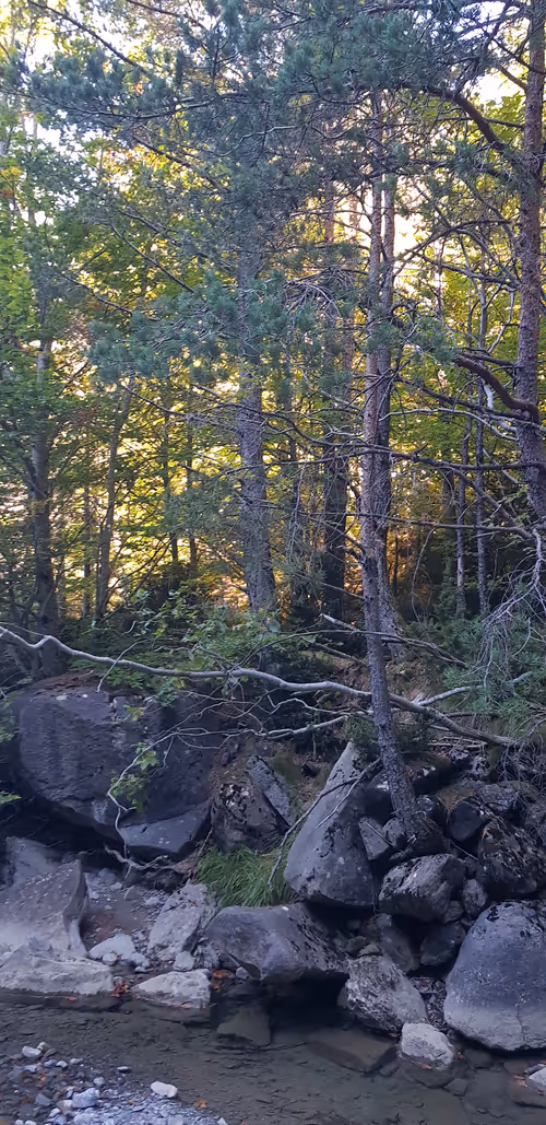 Item #105430292168461067605163639279760676416290262506760367786927535411680866467841 Media