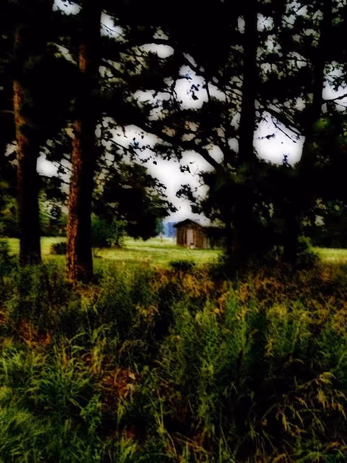 Item #41003151928393292369567597254607550815356584205978628665968184406711082156033 Media