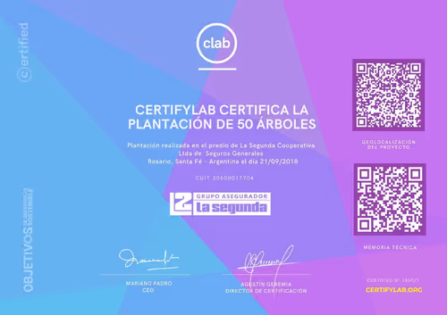 Item #82174489999726127748053989005133901530503286489307655945421605354859254513665 Media