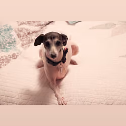 Sophie #01