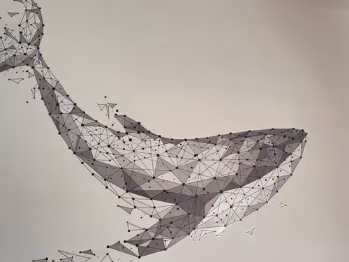 Item #18035216539859225192550073548721406872950624358459369098746687369230883487745 Media