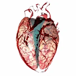 Human Heart Beat - Manage your Empty Heart