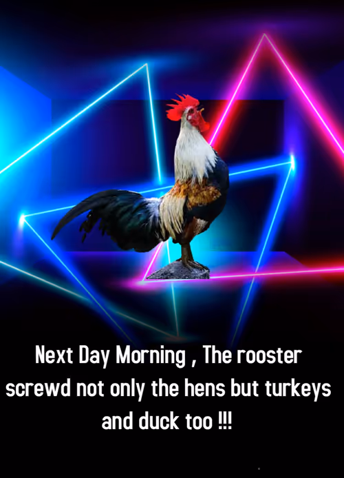 Item #85256751477170825589273705068680970500083849859781626210957338471273202712577 Media