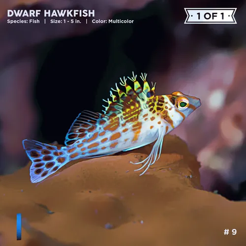 Item #72122608948950586905896945235695353296847960895015423047944334411610437189633 Media