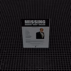 Missing Poster