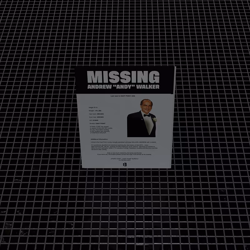 Missing Poster
