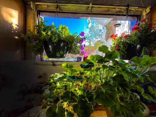 Item #69779279793312991240489662721218422936190169407892673104950858347066637156353 Media