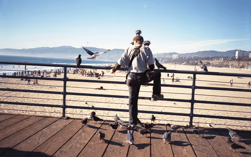 Untitled Collection #129834894