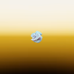 85601406272210854214775655996269203562327957411057160318308680276730542292993