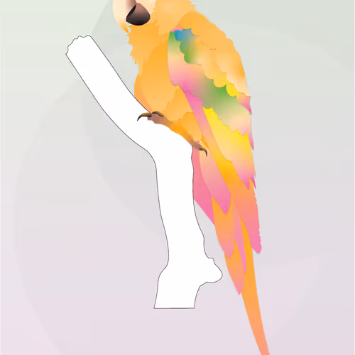 Vector Birds