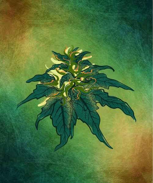 Item #88173920956366532206384104525204378846175092179682069740847406054044073984001 Media