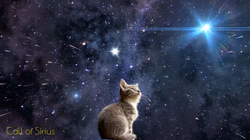 Item #63475483141840614417604835703532972748212131318874928986488791783321030885377 Media