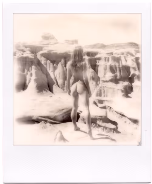 Item #46622120024380543335700584285690605004579692812432242935407919563407620046849 Media