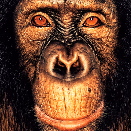 109162157552346088047496633038404394118504199992061596446112929727175966326785