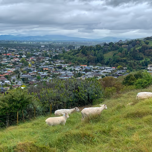 100151078309057675366159992497543003968848618159963270405575559592128884506625