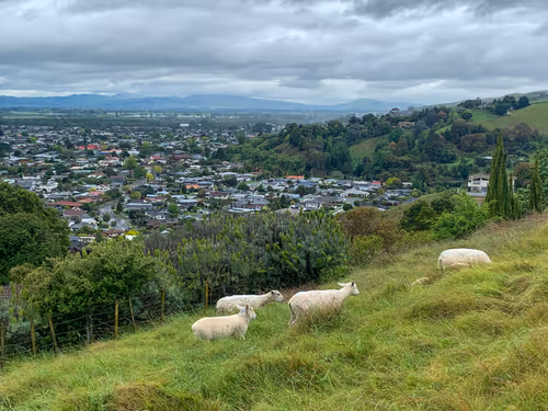 Item #100151078309057675366159992497543003968848618159963270405575559592128884506625 Media