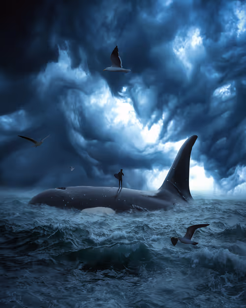 Item #5120042332681476466632520770121700592134821440612237730621647056328487600129 Media