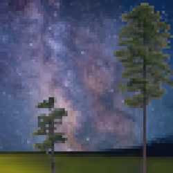 Longleaf Pine #61