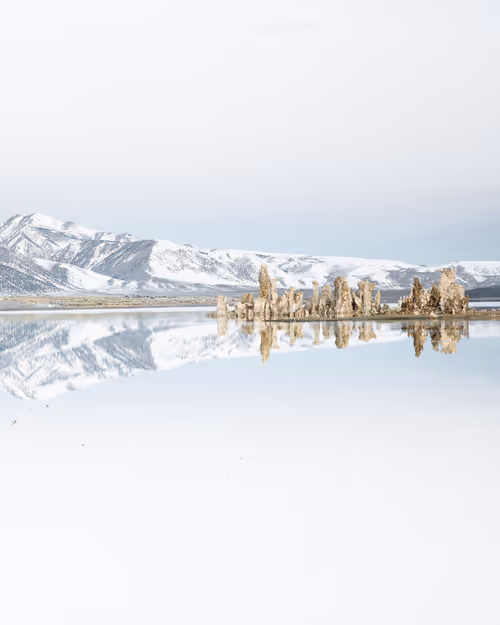 Item #13530196008563854885734701645489239893445931623828964503452581741103796977665 Media