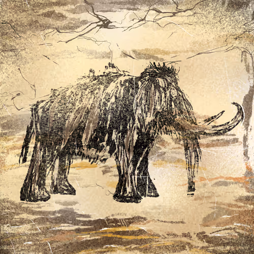 Item #42505435092464023240037635020667615408483052619425791248914544082240791379969 Media