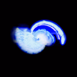 45731211464929816441170859700976373292149702980452148839612469039168539852801