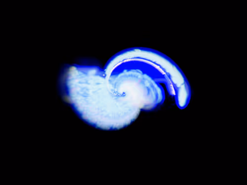 Item #45731211464929816441170859700976373292149702980452148839612469039168539852801 Media