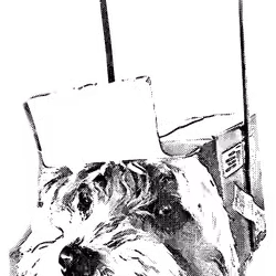 Atomic Robot Dog (OREO)