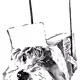 78826305041028881342122169884596469935171345647004496811717226693934121484289