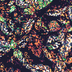 HOHU - Nature Pixel #100