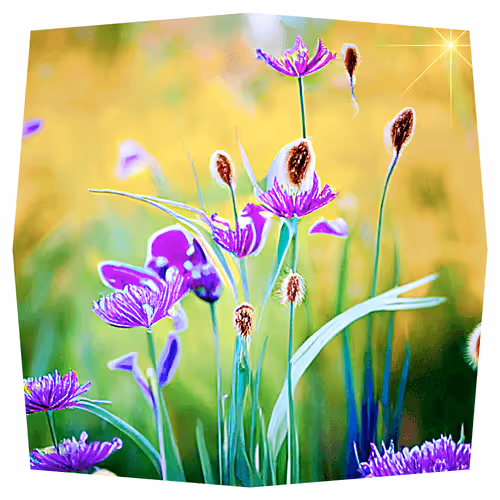 Item #108887428987132684520895973939448257743950325003335091765272601361767118929921 Media