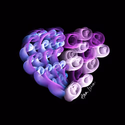 9474611545894584964435841342945166491517591874394890721650365231433280126977