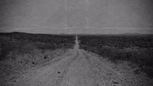 Item #56013625822960559351515646220389305313999776814502509802093240844556871663617 Media